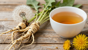 Dandelion: how this millennial infusion supports digestion and daily well-being Dandelion: how this millennial infusion supports digestion and daily well-being