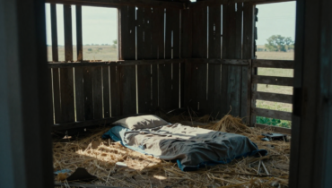 Family abuse: A father discovers his daughter was sleeping in a pigsty during his absence – his wife had orchestrated everything to leave with her brother Family abuse: A father discovers his daughter was sleeping in a pigsty during his absence – his wife had orchestrated everything to leave with her brother