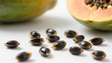 Papaya seeds: why this anti-parasite and liver-protecting food (still) ends up in the trash
