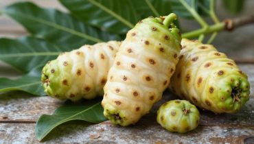 Noni: this misunderstood tropical fruit contains more than 200 bioactive compounds that strengthen immunity, reduce inflammation, and naturally regulate blood sugar Noni: this misunderstood tropical fruit contains more than 200 bioactive compounds that strengthen immunity, reduce inflammation, and naturally regulate blood sugar