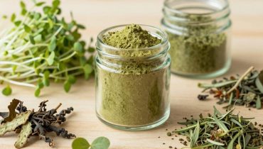 Alfalfa: how this plant naturally supports your kidneys through its diuretic and detoxifying properties