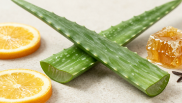 Aloe vera and lemon: this natural recipe capable of destroying bacteria and fungi without altering your intestinal flora