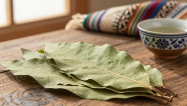Guava leaf tea: how this infusion acts on digestion, blood sugar, and skin
