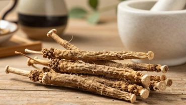Burdock root: how this forgotten plant naturally supports detox, digestion, and immunity