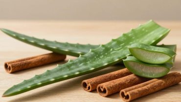 Aloe vera and cinnamon: how this natural duo supports digestion, immunity, and blood sugar daily Aloe vera and cinnamon: how this natural duo supports digestion, immunity, and blood sugar daily