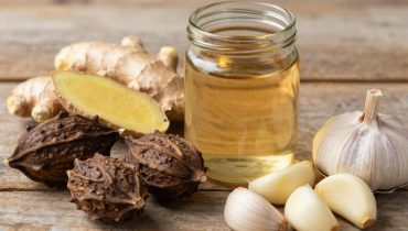 Reproductive health: how bitter kola, garlic and ginger act on fertility and sexual performance