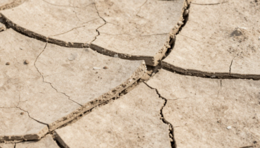 Cracked heels: how a raw potato removes dead skin and hydrates in 30 minutes