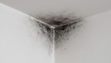 Black spots in the corners of walls: what this reveals about the state of your home