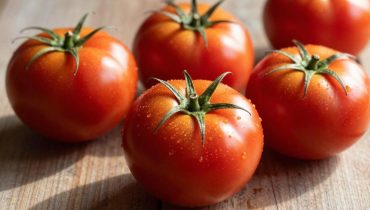 Tomato preservation: this jarring technique preserves summer freshness for 10 years without freezing or dehydration Tomato preservation: this jarring technique preserves summer freshness for 10 years without freezing or dehydration