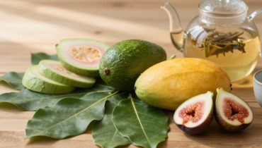 Leaf infusions: how guava, avocado, and bay laurel naturally support your metabolism and circulation