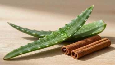 Aloe vera and cinnamon: how this natural association supports digestion, circulation, and eye health Aloe vera and cinnamon: how this natural association supports digestion, circulation, and eye health