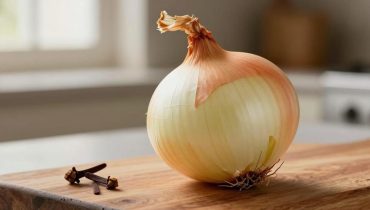 French cuisine: why cloves stuck in an onion change the taste of your winter soups French cuisine: why cloves stuck in an onion change the taste of your winter soups