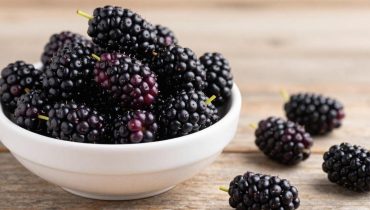 Black mulberry: how this Mediterranean fruit naturally regulates blood pressure and boosts red blood cell production