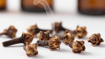 Clove steam: how eugenol naturally decongests the respiratory tract and purifies the skin