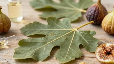 Diabetes and digestion: why fig leaves are making a comeback in modern medicine