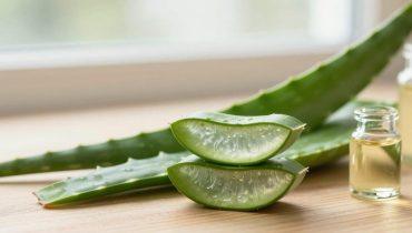 Hair growth: how homemade aloe vera oil stimulates growth and reduces shedding in 4 weeks