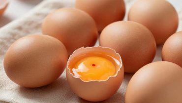 Red spots in eggs: what they really reveal about their freshness and safety Red spots in eggs: what they really reveal about their freshness and safety