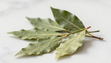 Bay leaf and wrinkles: what science really says in the face of viral web promises