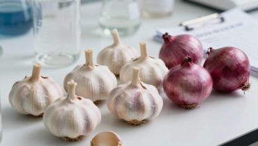 Blood circulation: how garlic and onion naturally support leg vascular health