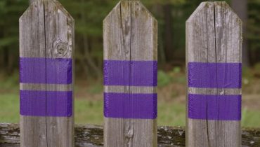 Private Property: Why Purple Paint is Replacing ‘No Trespassing’ Signs in the US