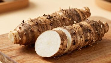 Cassava: why this root vegetable consumed by millions of people can cause irreversible paralysis if improperly prepared