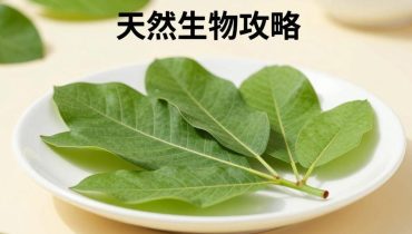 Guava leaves: three natural methods validated by science to strengthen your gums and reduce oral bacteria