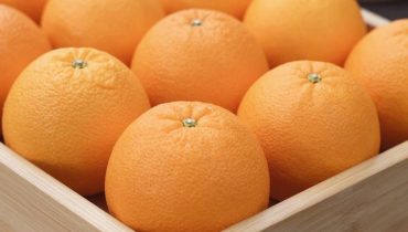 Oranges: why choosing a small navel guarantees more juice and flavor