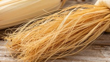 Corn silk: 30 scientifically documented benefits for kidneys, metabolism and skin