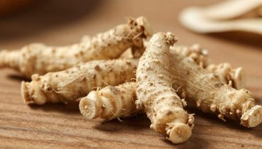 Nut grass: the ancestral medicinal plant that researchers are rediscovering for inflammation and hormonal balance