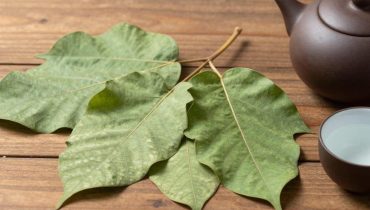 Guava leaf tea: 17 scientifically documented benefits for your daily health