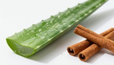Aloe vera and cinnamon: this plant duo improves digestion and circulation according to the latest research
