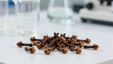 Clove water: how this millennial infusion naturally strengthens digestion, immunity, and metabolism