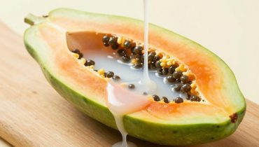 Green papaya: how the papain in its sap improves protein digestion and reduces bloating