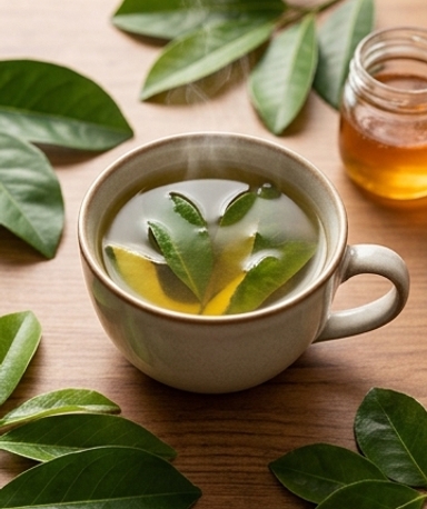 tisane-quatre-feuilles-l-infusion-detox-a-l-avocat cover