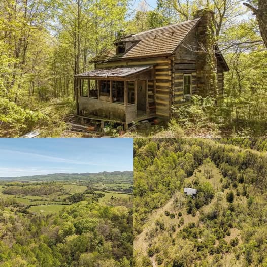55-acre-west-virginia-retreat-a-log-cabin-for-the- cover