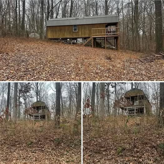 an-unfinished-woodland-cabin-that-lets-you-build-o cover
