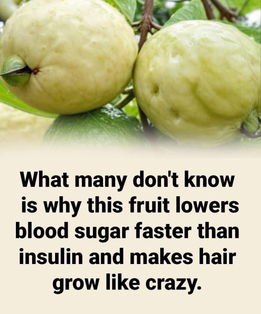 guava-the-tropical-fruit-that-may-help-control-blo-cover guava-the-tropical-fruit-that-may-help-control-blo cover
