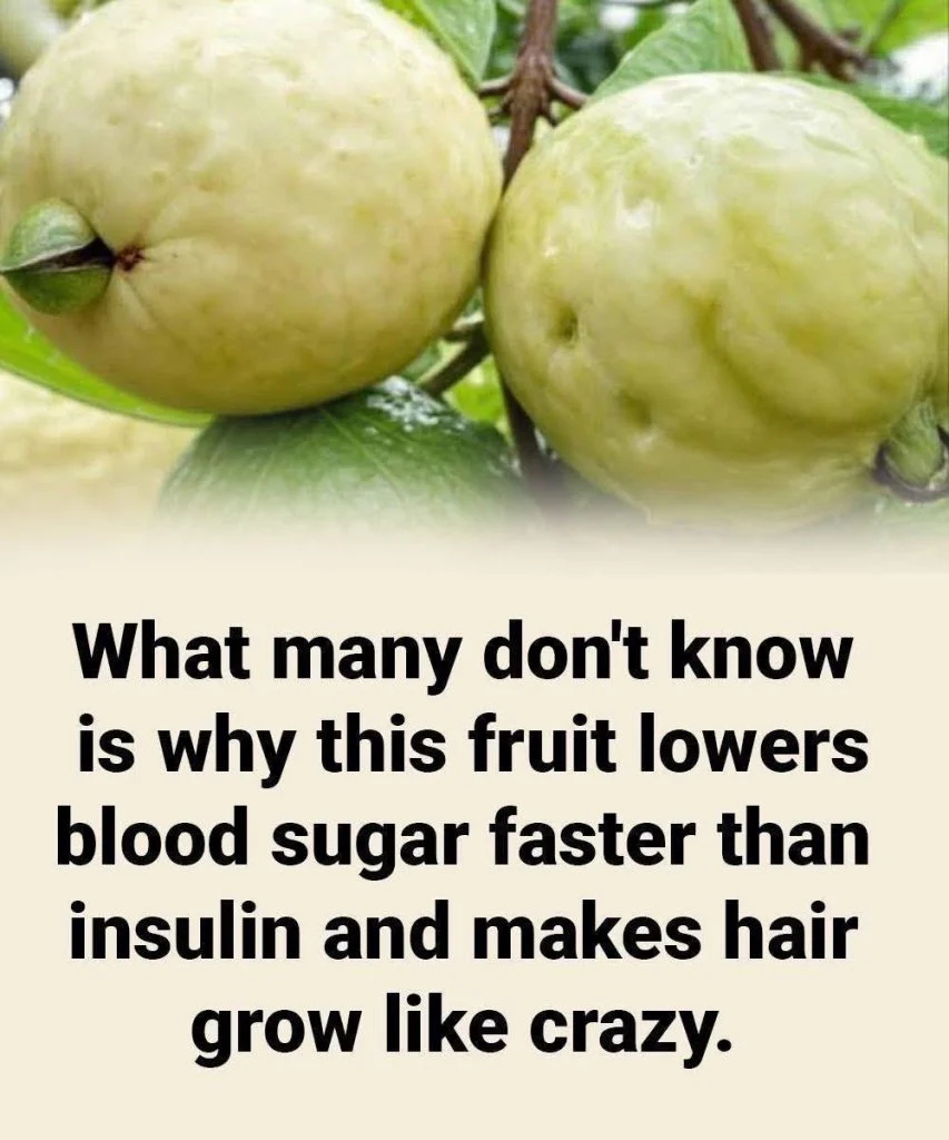Guava: The Tropical Fruit That May Help Control Blood Sugar