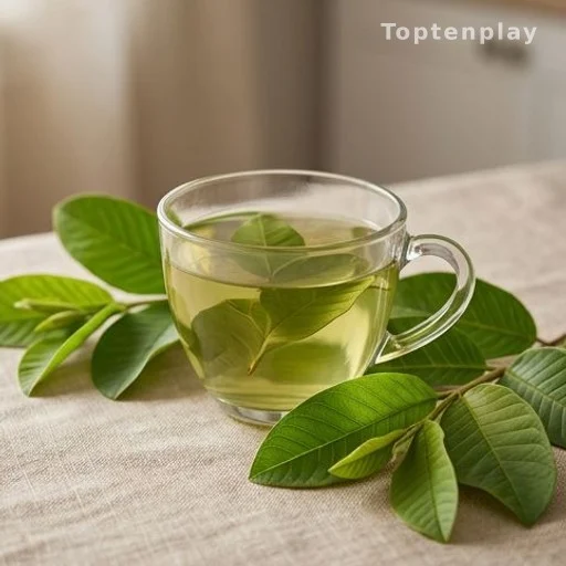 Guava Leaf Tea: What Early Research Suggests