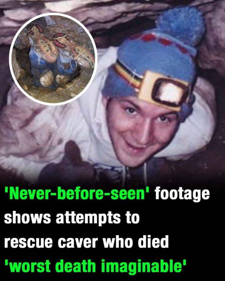 nutty-putty-cave-never-before-seen-footage-of-a-fa cover