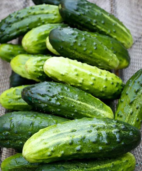 the-hidden-health-benefits-of-eating-cucumber-regu cover