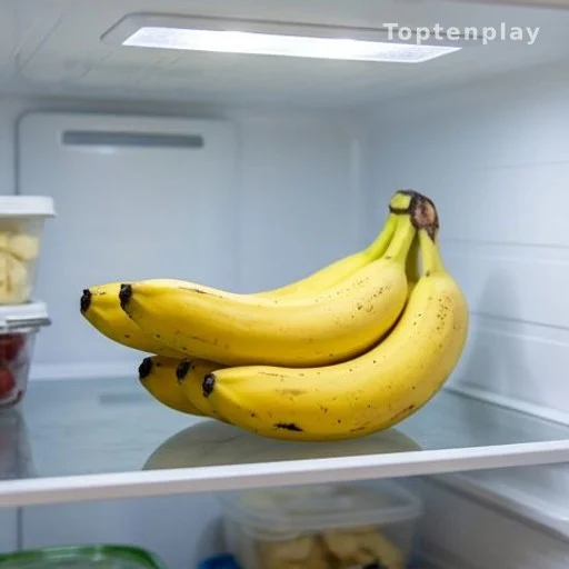 When and How to Use the Refrigerator