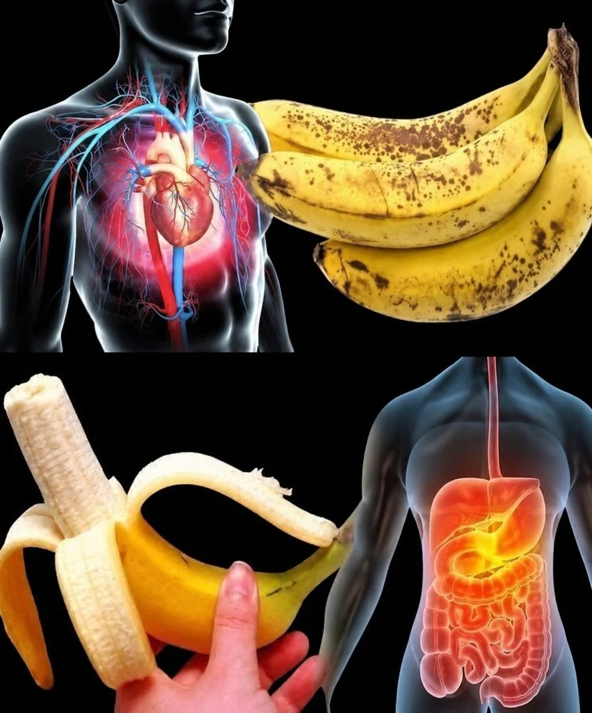 what-doctors-really-say-about-eating-bananas-every cover
