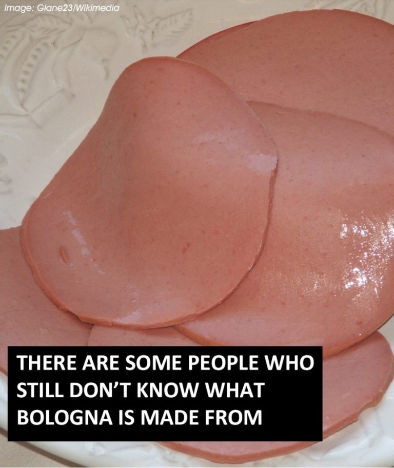 what-is-bologna-really-made-of-the-truth-behind-th cover