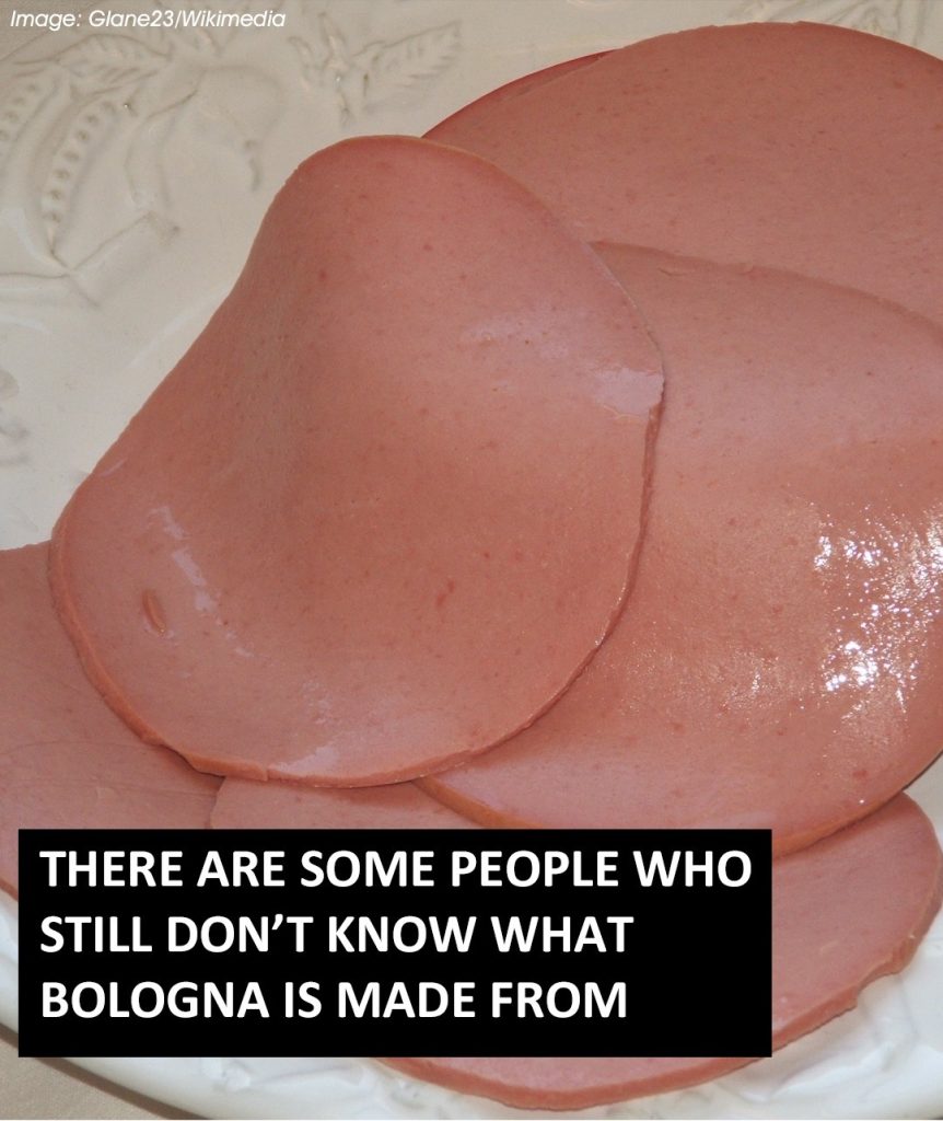 what-is-bologna-really-made-of-the-truth-behind-th-cover what-is-bologna-really-made-of-the-truth-behind-th cover