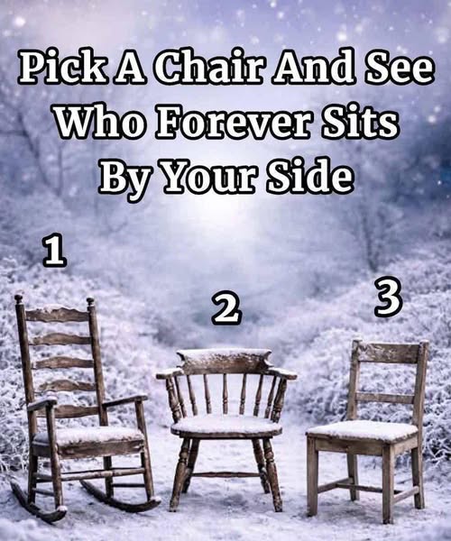 what-your-chair-choice-reveals-about-who-you-trust cover