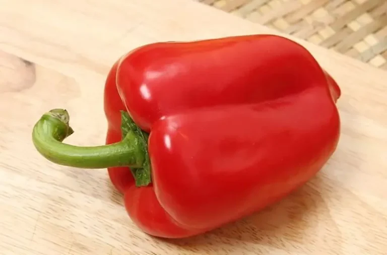 12-foods-that-may-help-keep-your-kidneys-healthy cover