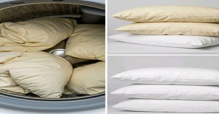 3-proven-methods-to-get-yellowed-pillows-white-aga cover
