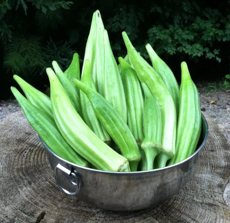 4-vegetables-that-may-help-reduce-cancer-risk-acco cover