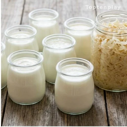 Probiotic foods yogurt kefir sauerkraut for gut health treatment